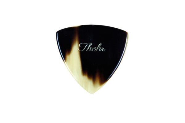 Thohr Custom Horn Pick Erstelle Dein Personliches Wunsch Plektrum